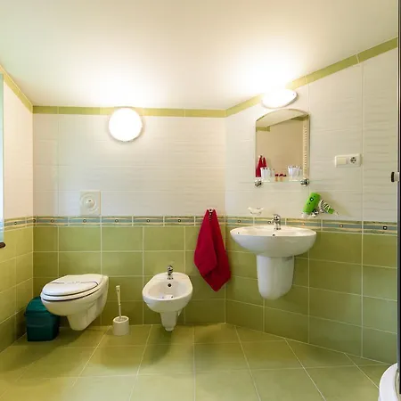 Letuchiy Gollandets Ξενοδοχείο *