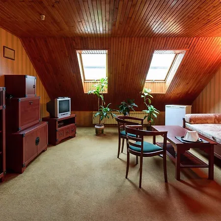 Letuchiy Gollandets Ungvár