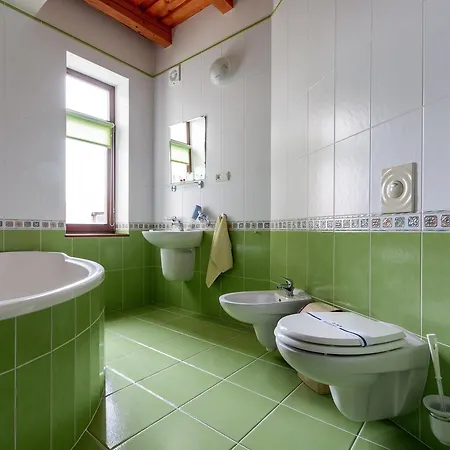 Letuchiy Gollandets *