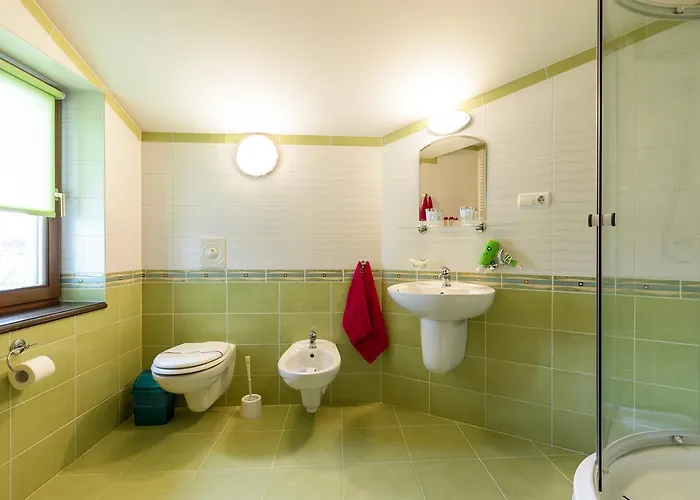 Letuchiy Gollandets Hotel *